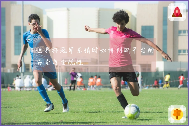 世界杯冠军竞猜时如何判断平台的安全与合规性