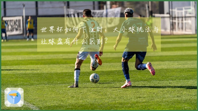世界杯如何下注时，大小球玩法与让球盘有什么区别？