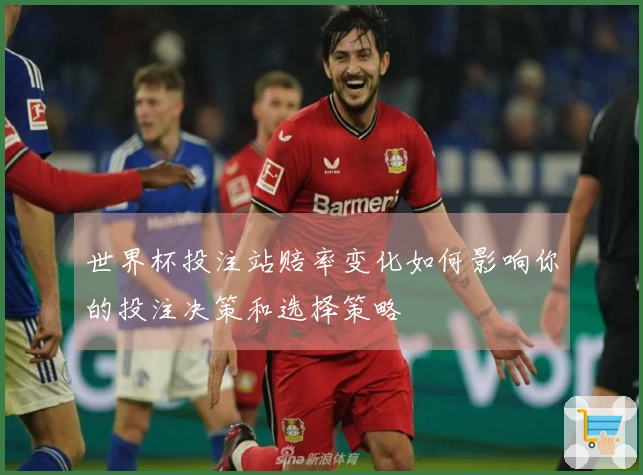 世界杯投注站赔率变化如何影响你的投注决策和选择策略