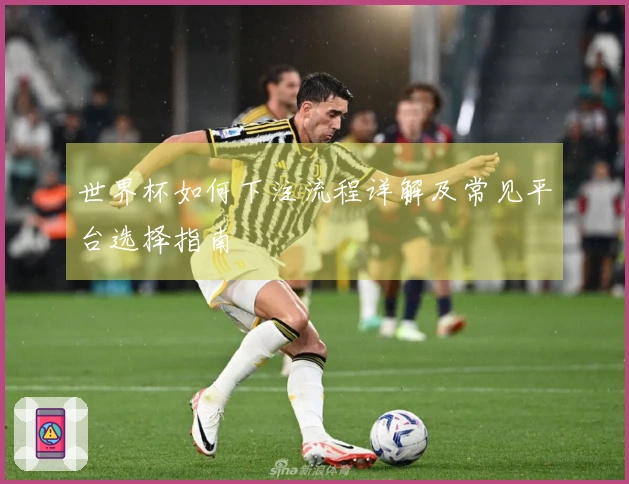 世界杯如何下注流程详解及常见平台选择指南