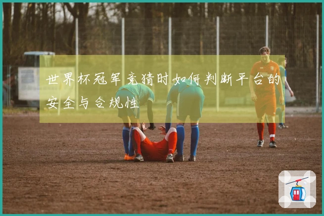 世界杯冠军竞猜时如何判断平台的安全与合规性