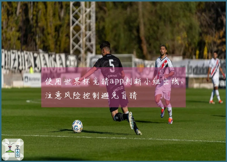 使用世界杯竞猜app判断小组出线，注意风险控制避免盲猜